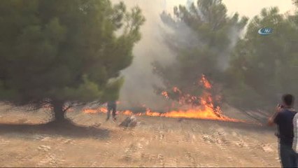 Göbeklitepe Ormanı'nda Yangın Devam Ediyor