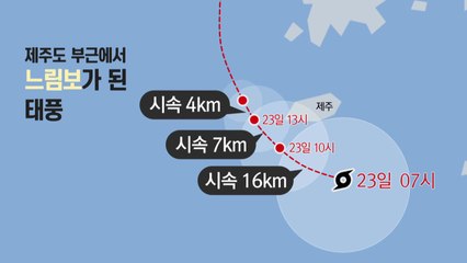 서해에서 힘빠진 태풍 '솔릭'..."걱정했지만 다행" / YTN