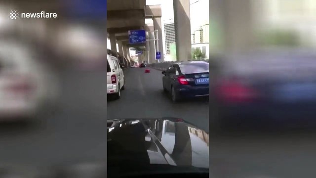 Roller skater shuttles on all fours among vehicles on busy road