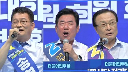 내일 민주당 대표 선출...열쇠는 친문 당원 / YTN