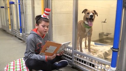 Kids Read Their Favorite Books To Shelter Dogs