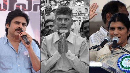 టిడిపి పగ్గాలు నందమూరి ఫ్యామిలీకి ఇవ్వాలి: పవన్-లక్ష్మీపార్వతి