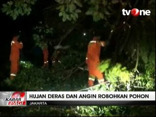Pohon Tumbang Memutus Aliran Listrik dan Menutup Jalan