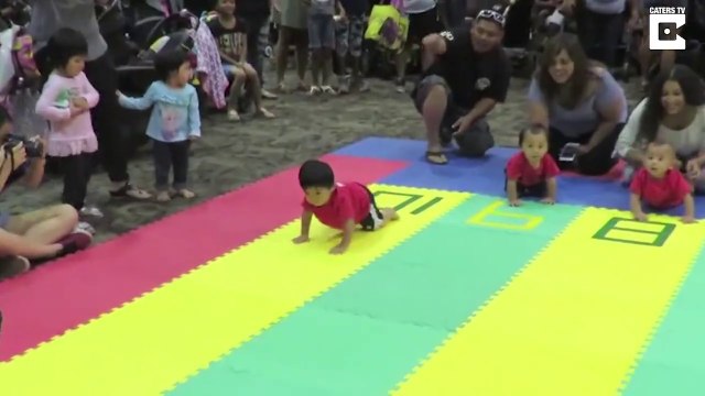 Course... de bébés à 4 pattes !