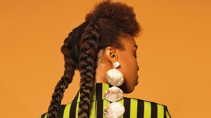 The Braid Up Afro Puff With Loose Braids