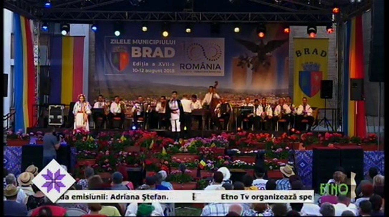 Mihai Cetean - Asa-i romanul