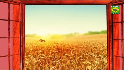 Achari Chicken Kabab Recipe by Chef Zarnak Sidhwa 24 October 2017