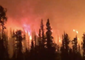 Forest Worker Drives Through Lake Shovel Fire in British Columbia