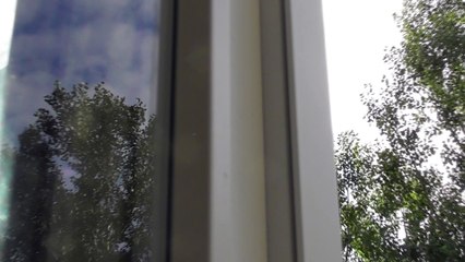 Aug 22 2018 DL2