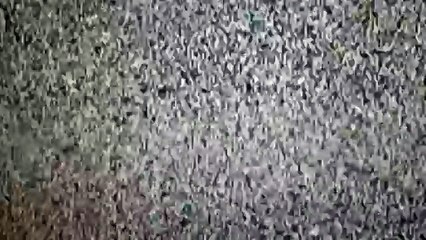 Acordado (Awake) - Curta-Metragem | Short Film