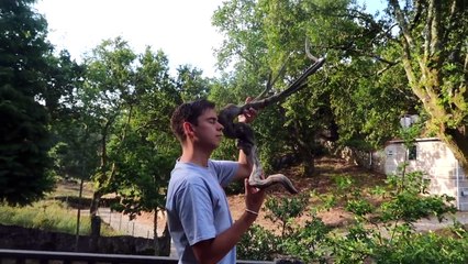 A MINHA ROTINA MATINAL | Pedro Teixeira da Mota