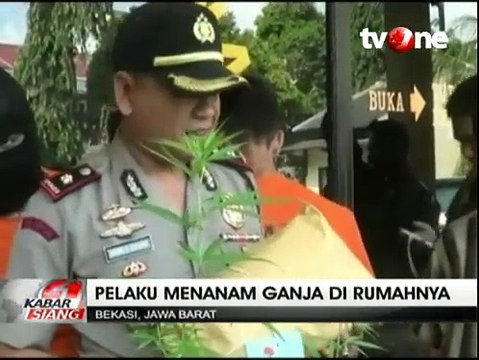 Polisi Bekuk Pengedar Ganja Melalui Media Online di Bekasi