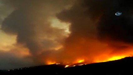 Kastamonu'da 20 Dönümlük Orman Arazisi Alev Alev Yandı