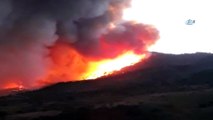Kastamonu'da 20 dönümlük orman arazisi alev alev yandı