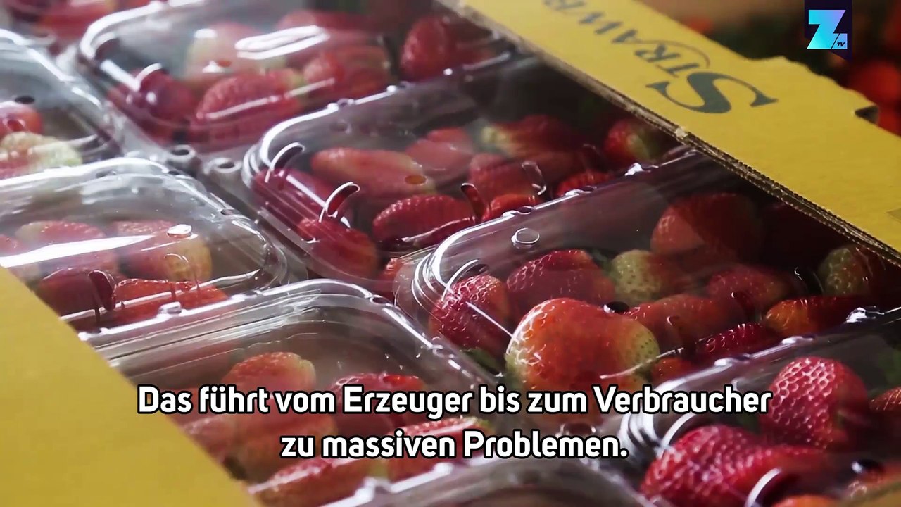 'lettus grow': geniale methode lässt pflanzen ohne boden wachsen