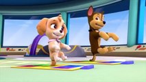 PAW Patrol Cartoon Pup Pup Boogie Pups in a Fog Part 4