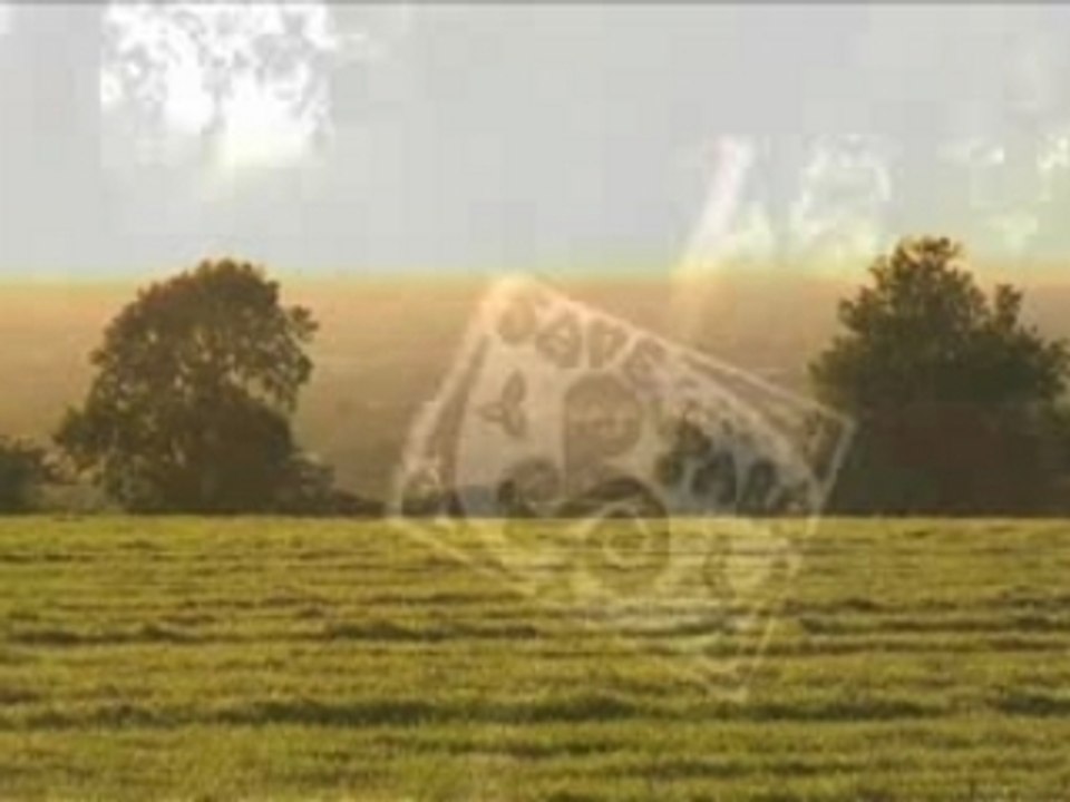 BeyondTV festival- Irish documentary