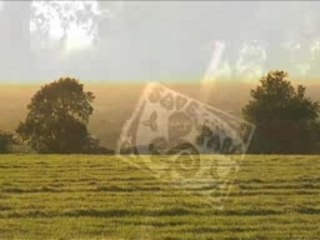 BeyondTV festival- Irish documentary