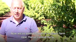 A tour of Syria - with the Russian military - BBC News