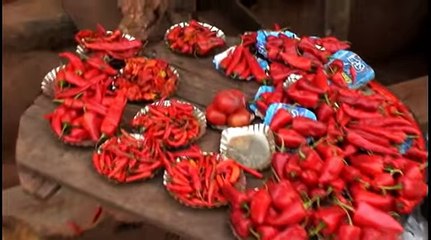 Винсент Вайт жрец Вуду Ифа Ориша Эгунгун