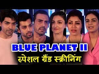 अनकट - सोनी बीबीसी अर्थ | ब्लू प्लैनेट II स्पेशल ग्रैंड स्क्रीनिंग