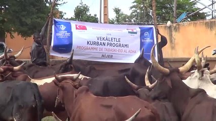 Tdv'den Nijer'de 2 Milyon Kişiye Yardım