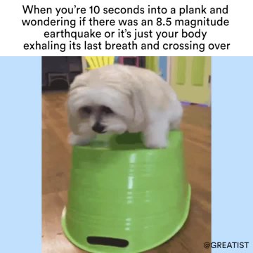 When you're 10 seconds into a plank and wondering if there was an 8.5 magnitude earthquake or it's just your body exhaling its last breath and crossing over