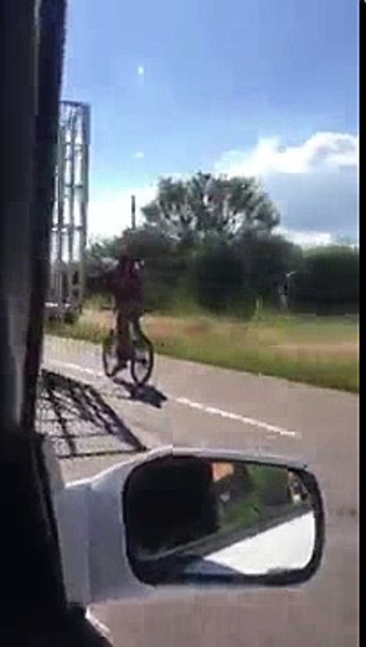 Кого только не встретишь на дорогах