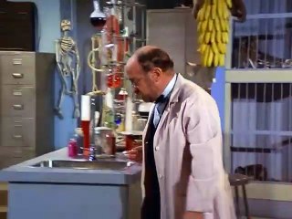 Get.Smart.1965.S05E10.The.Apes.of.Rath.REMASTERED.DVDRip.XviD-FQM