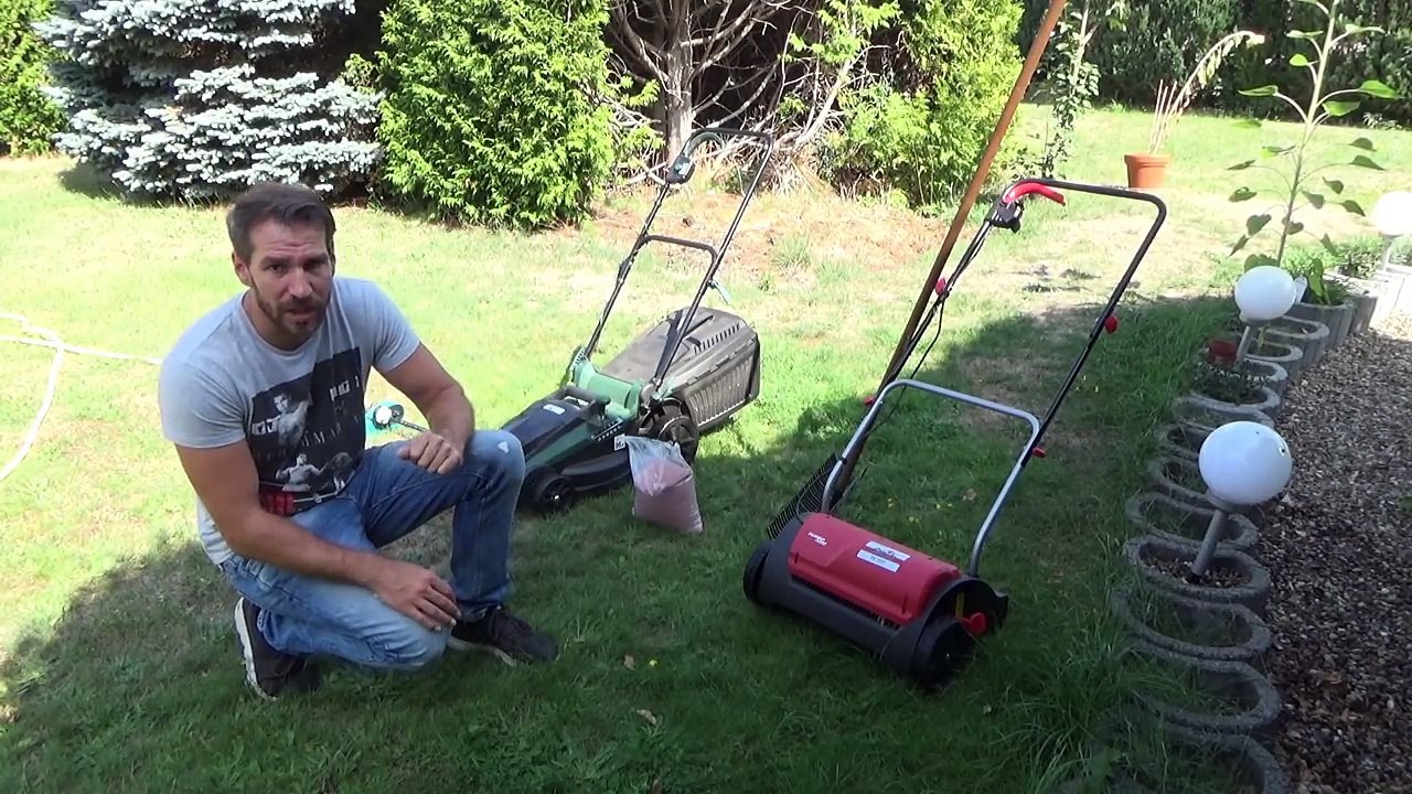 Verbrannten Rasen wieder grün bekommen vertrockneten verbrannten Rasen retten wiederbeleben