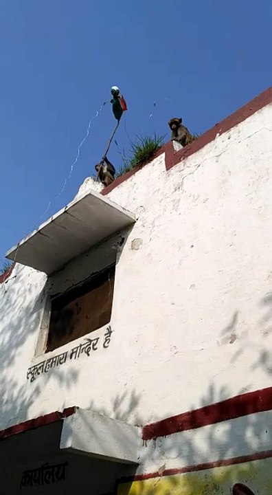 Bandar ne fraya tiranga