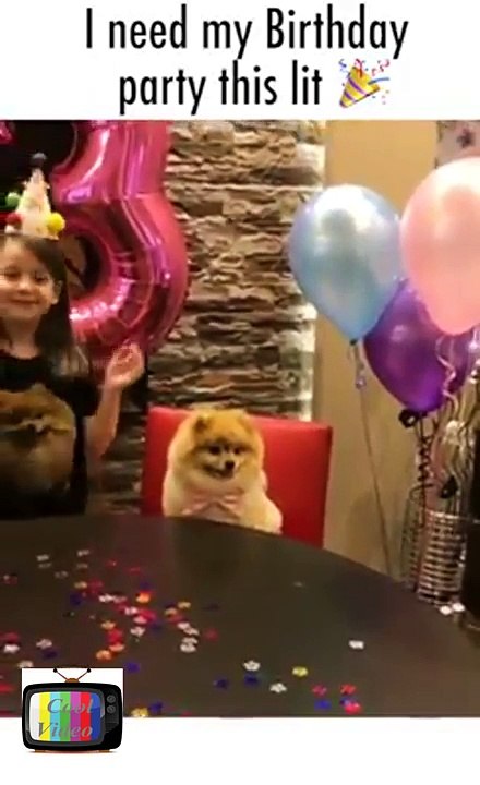 I need my Birthday party this lit, Puppy Birthday