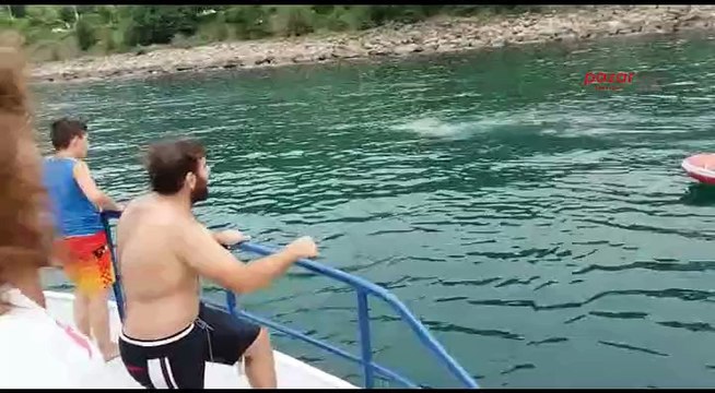 Kurbanlık dana bayramın son günü denizde yüzerken bulundu