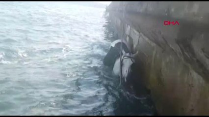 İstanbul Sarıyer'de Atla Birlikte Denize Düştü