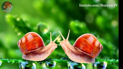 Trong tâm có hổ thẹn, chính là vẫn tồn tại hạt giống thiện lương