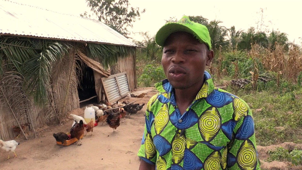 Production agricole au Bénin : le défi de la qualité