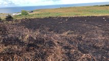 Deux hectares de landes partis en fumée
