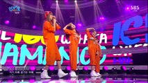 1cm - MAMAMOO