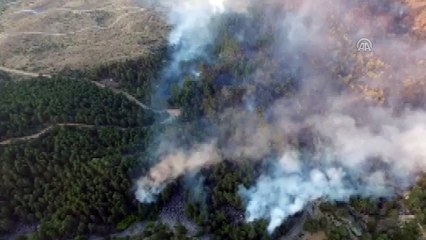 Kastamonu'daki orman yangını söndürüldü