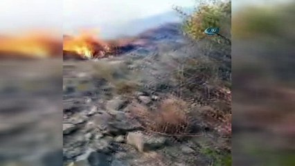 Ormanlık alanda çıkan yangın kontrol altına alındı