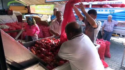 En 'acı' yolculuk...Tarlarda toplanan biberler zahmetli bir yolculuğun ardından salçaya dönüştürülüyor