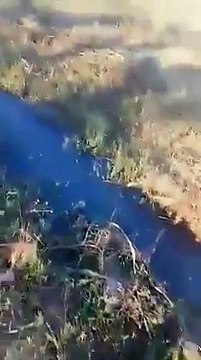 Les orangers sont irrigués avec de l'eau sale dans la région de Corso (Boumerdès)