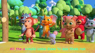 The Tortoise and the Hare - c(ABCkidTV) Nursery Rhymes & Kids Songs