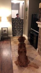 Sweetest What the Fluff Surprise Yet