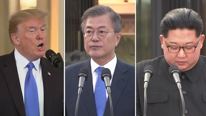 "정상회담 큰 영향 없어"...당혹감 속 신중 / YTN