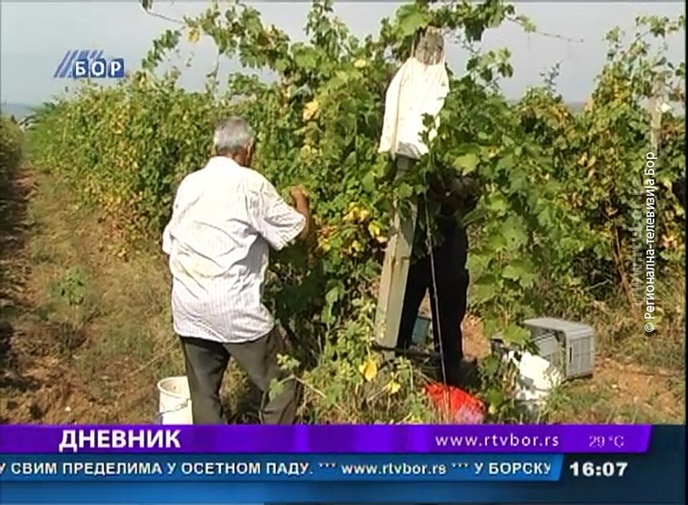 Dnevnik, 25.avgust 2018. (RTV Bor)