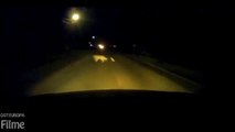 Hund Kreuzung Straße in der Nacht