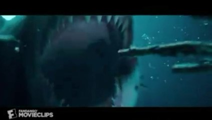 The Shallows (10/10) Movie CLIP - Impaled  HD