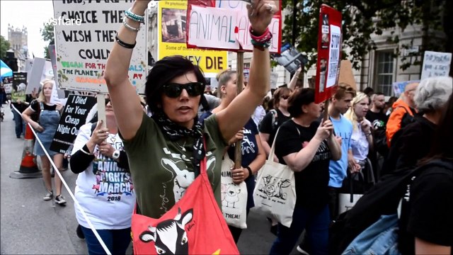 Thousands of vegans march through London to call for animal rights