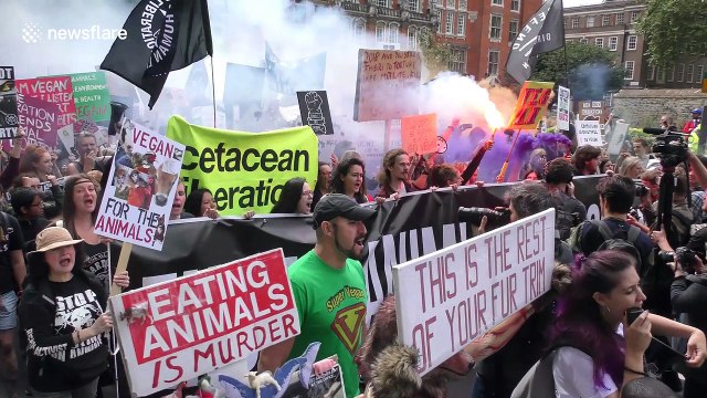 Thousands of vegans march through London to call for animal rights